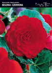 Begonia Podwójna - Czerwona 3 szt.