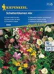 Mieszanka kwiatów cieniolubnych Schattenblumen Mix
