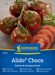 Pomidor sałatkowy Alido Choco Kiepenkerl