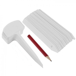 TABLICZKI DO OPISU ROŚLIN