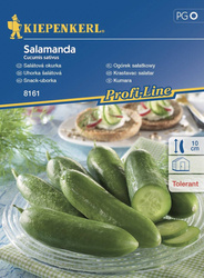 Ogórek Sałatkowy Salamanda – Kiepenkerl