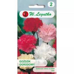 Goździk ogrodowy – mix – 0,5 g Legutko