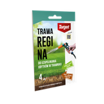Regina 100 g nasiona trawy do uzupełniania ubytków w trawniku