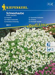 Gęsiówka kaukaska Schneehaube Arabis caucasica