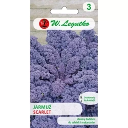 Jarmuż Czerwony Scarlet 1 g - Legutko 