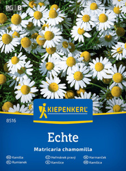 Rumianek Echte Matricaria chamomilla - Kiepenkerl