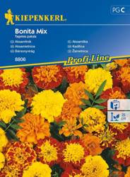 Aksamitka Bonita Mix Tagetes patula