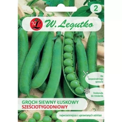 Groch Łuskowy Sześciotygodniowy 40 g - Legutko