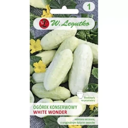 Ogórek Gruntowy White Wonder 2g - Legutko