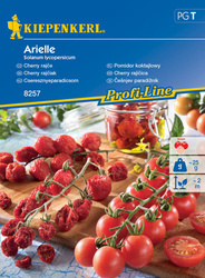 Pomidor koktajlowy ,,Arielle‘’ F1 – Kiepenkerl