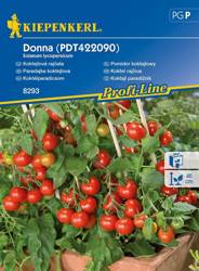 Pomidor koktajlowy Dona F1 Solanum lycopersicum