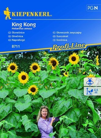 Słonecznik King Kong - Kiepenkerl